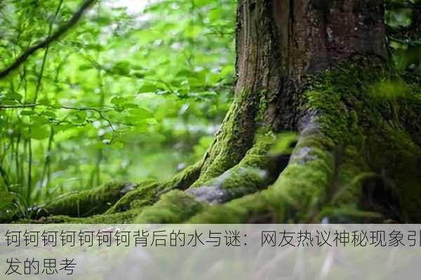 钶钶钶钶钶钶钶背后的水与谜：网友热议神秘现象引发的思考