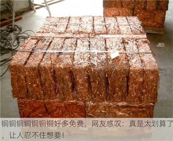 铜铜铜铜铜铜铜好多免费，网友感叹：真是太划算了，让人忍不住想要！