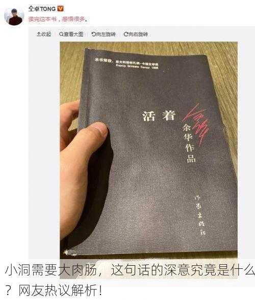 小洞需要大肉肠，这句话的深意究竟是什么？网友热议解析！