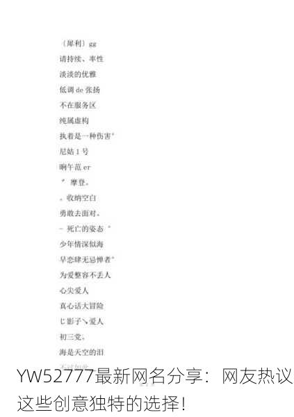 YW52777最新网名分享：网友热议这些创意独特的选择！