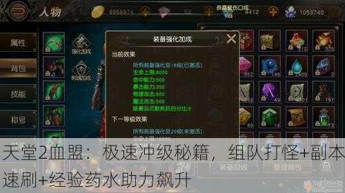 天堂2血盟：极速冲级秘籍，组队打怪+副本速刷+经验药水助力飙升