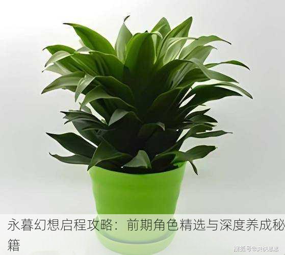 永暮幻想启程攻略：前期角色精选与深度养成秘籍