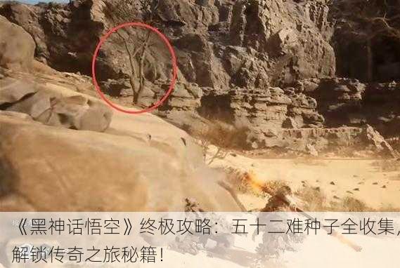 《黑神话悟空》终极攻略：五十二难种子全收集，解锁传奇之旅秘籍！