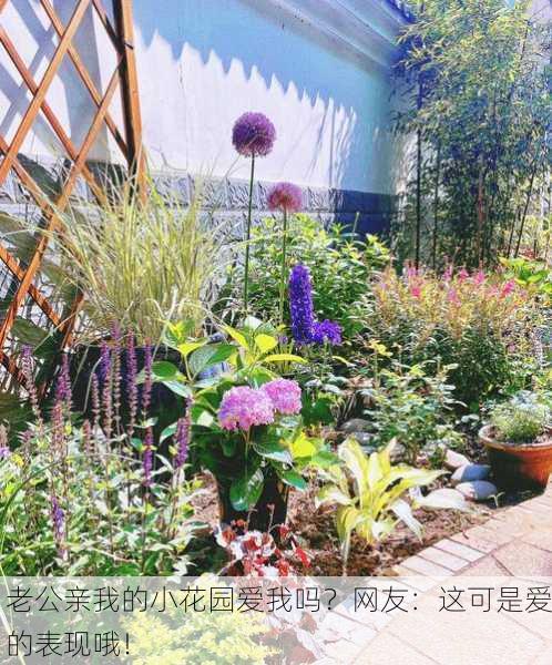 老公亲我的小花园爱我吗？网友：这可是爱的表现哦！