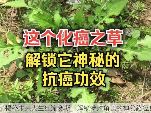 揭秘未来人生红流赛斯：解锁特殊角色的神秘路径！