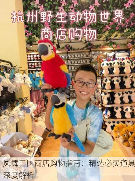 凤舞三国商店购物指南：精选必买道具深度解析！