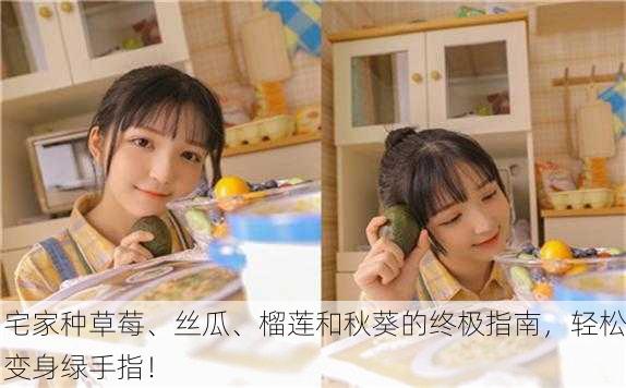 宅家种草莓、丝瓜、榴莲和秋葵的终极指南，轻松变身绿手指！