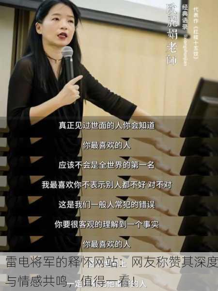 雷电将军的释怀网站：网友称赞其深度与情感共鸣，值得一看！