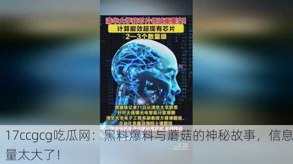 17ccgcg吃瓜网：黑料爆料与蘑菇的神秘故事，信息量太大了！
