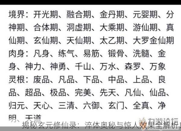 揭秘玄元修仙录：淬体奥秘与惊人效果全解析！