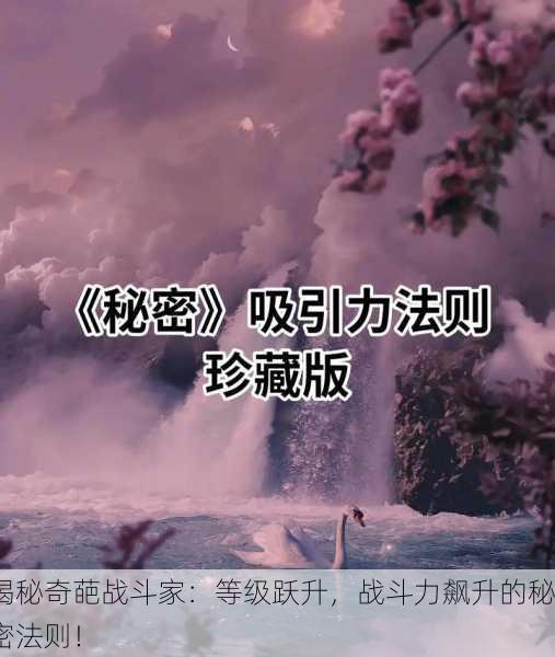 揭秘奇葩战斗家：等级跃升，战斗力飙升的秘密法则！