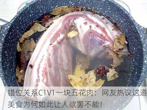 错位关系C1V1一块五花肉：网友热议这道美食为何如此让人欲罢不能！