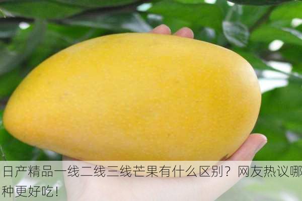 日产精品一线二线三线芒果有什么区别？网友热议哪种更好吃！