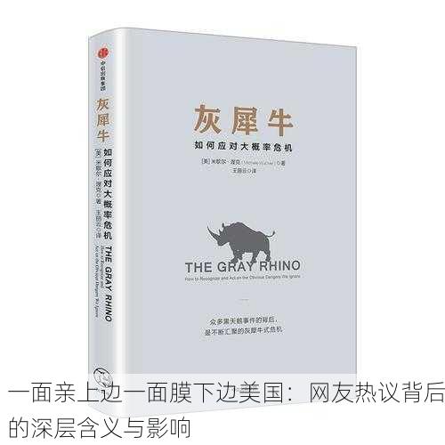 一面亲上边一面膜下边美国：网友热议背后的深层含义与影响