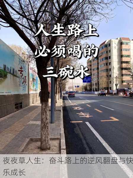 夜夜草人生：奋斗路上的逆风翻盘与快乐成长