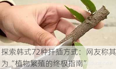 探索韩式72种扦插方式：网友称其为“植物繁殖的终极指南”