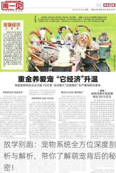 放学别跑：宠物系统全方位深度剖析与解析，带你了解萌宠背后的秘密！