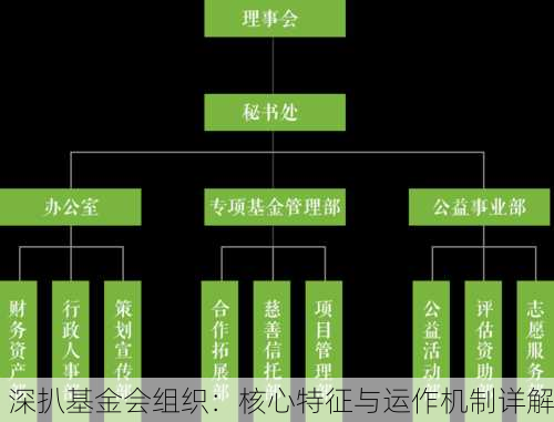深扒基金会组织：核心特征与运作机制详解
