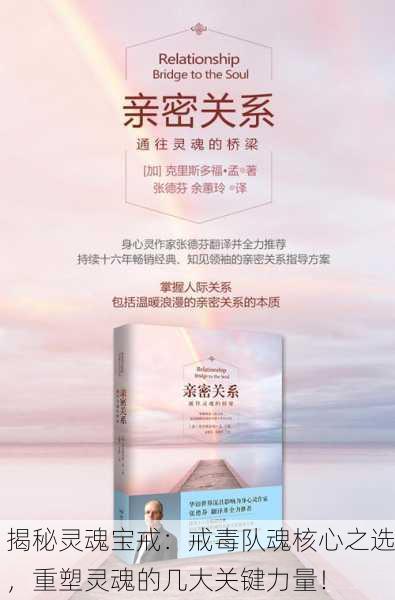 揭秘灵魂宝戒：戒毒队魂核心之选，重塑灵魂的几大关键力量！