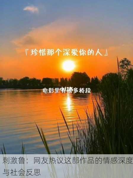 刺激鲁：网友热议这部作品的情感深度与社会反思