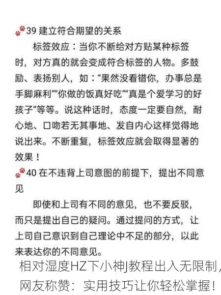 相对湿度HZ下小神J教程出入无限制，网友称赞：实用技巧让你轻松掌握！