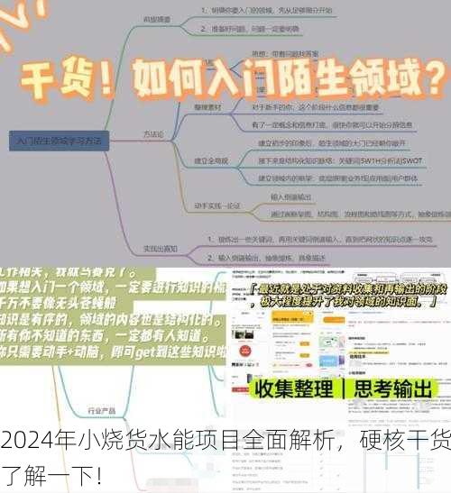2024年小烧货水能项目全面解析，硬核干货了解一下！