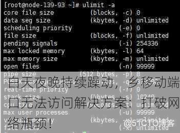 白天夜晚持续躁动，乡移动端口无法访问解决方案：打破网络瓶颈！