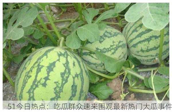 51今日热点：吃瓜群众速来围观最新热门大瓜事件
