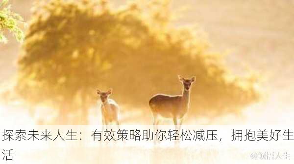 探索未来人生：有效策略助你轻松减压，拥抱美好生活