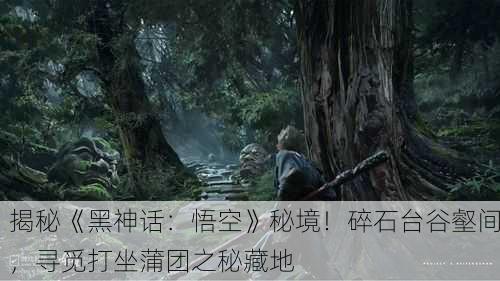 揭秘《黑神话：悟空》秘境！碎石台谷壑间，寻觅打坐蒲团之秘藏地