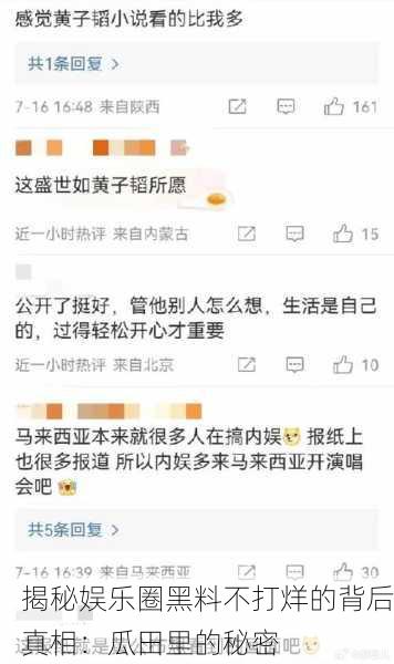揭秘娱乐圈黑料不打烊的背后真相：瓜田里的秘密