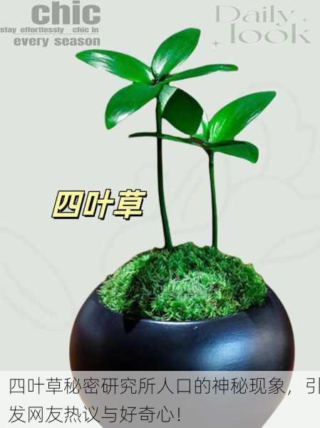 四叶草秘密研究所人口的神秘现象，引发网友热议与好奇心！
