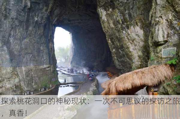 探索桃花洞口的神秘现状：一次不可思议的探访之旅，真香！