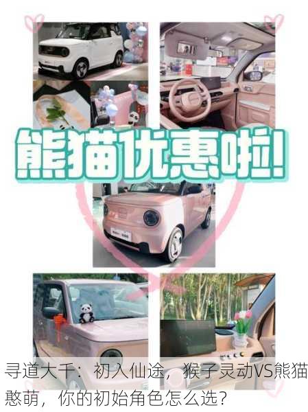 寻道大千：初入仙途，猴子灵动VS熊猫憨萌，你的初始角色怎么选？