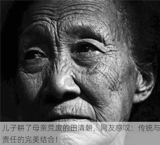 儿子耕了母亲荒废的田清朝，网友感叹：传统与责任的完美结合！