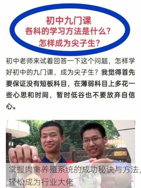 掌握肉禽养殖系统的成功秘诀与方法，轻松成为行业大佬
