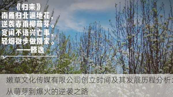 嫩草文化传媒有限公司创立时间及其发展历程分析：从萌芽到爆火的逆袭之路
