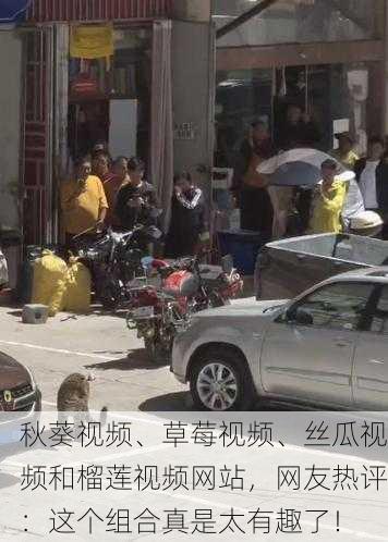 秋葵视频、草莓视频、丝瓜视频和榴莲视频网站，网友热评：这个组合真是太有趣了！