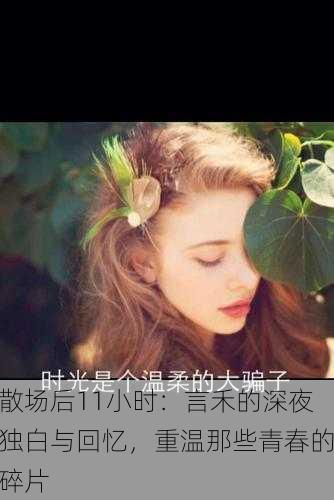 散场后11小时：言禾的深夜独白与回忆，重温那些青春的碎片