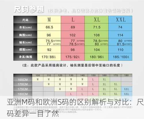 亚洲M码和欧洲S码的区别解析与对比：尺码差异一目了然