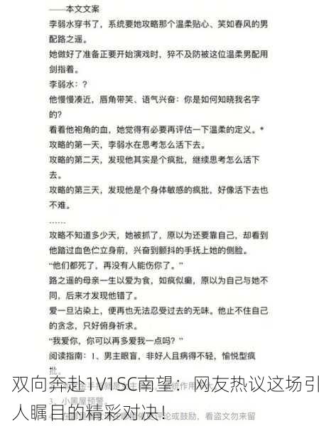 双向奔赴1V1SC南望：网友热议这场引人瞩目的精彩对决！