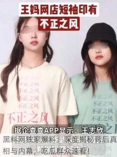 黑料网独家爆料：深度揭秘背后真相与内幕，吃瓜群众速看！