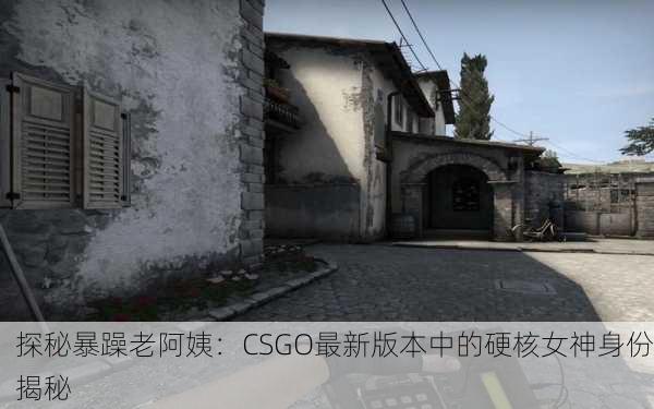 探秘暴躁老阿姨：CSGO最新版本中的硬核女神身份揭秘