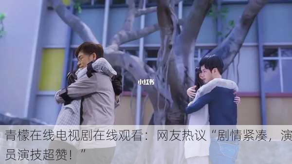 青檬在线电视剧在线观看：网友热议“剧情紧凑，演员演技超赞！”