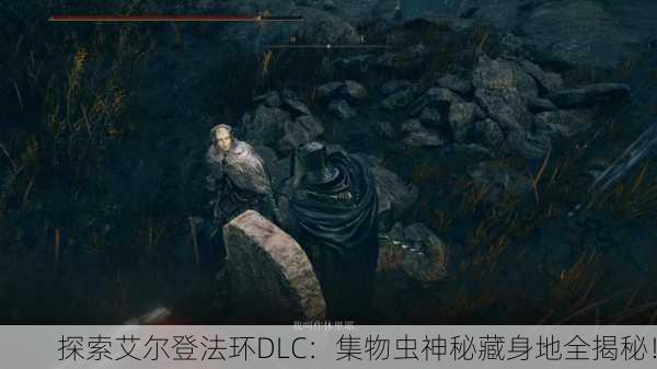 探索艾尔登法环DLC：集物虫神秘藏身地全揭秘！