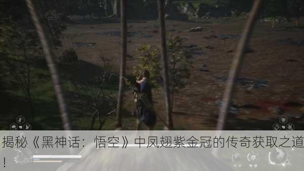 揭秘《黑神话：悟空》中凤翅紫金冠的传奇获取之道！