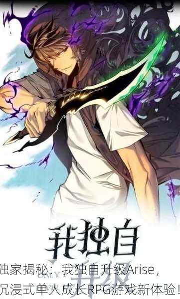 独家揭秘：我独自升级Arise，沉浸式单人成长RPG游戏新体验！