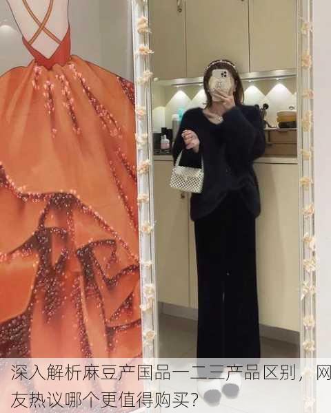 深入解析麻豆产国品一二三产品区别，网友热议哪个更值得购买？