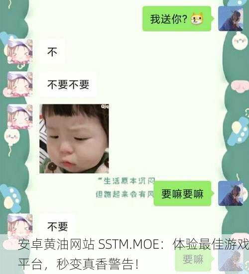 安卓黄油网站 SSTM.MOE：体验最佳游戏平台，秒变真香警告！