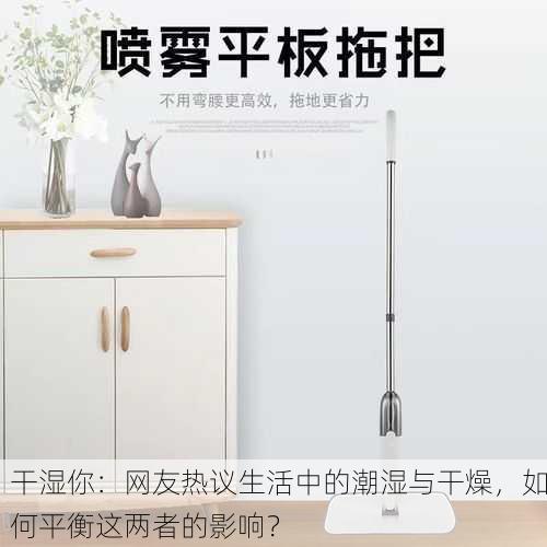 干湿你：网友热议生活中的潮湿与干燥，如何平衡这两者的影响？